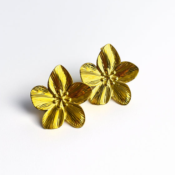 Flora